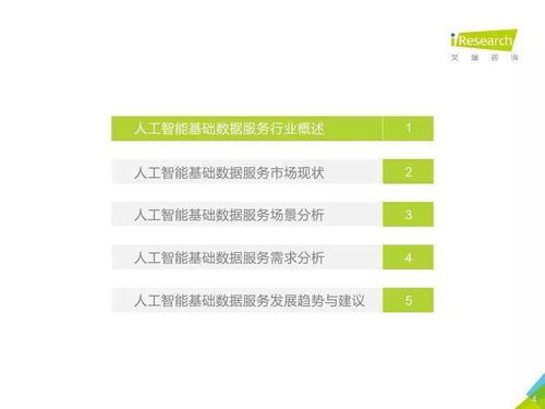 中國人工智能基礎(chǔ)數(shù)據(jù)服務(wù)與行業(yè)應(yīng)用系統(tǒng)集成服務(wù)市場報(bào)告 雙輪驅(qū)動(dòng)下的產(chǎn)業(yè)智能化進(jìn)程